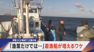 「漁業だけでは…」遊漁船が増えるワケ【newsX】